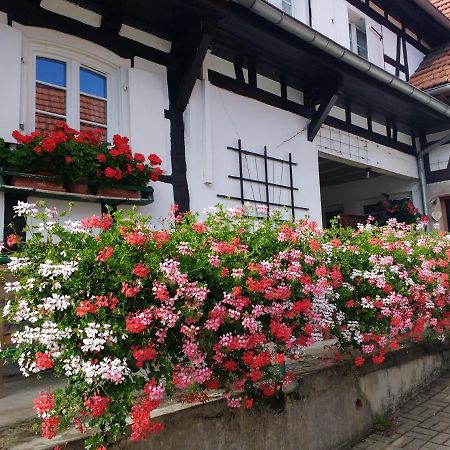 Gite Rue De L'Ange Hunspach Екстериор снимка