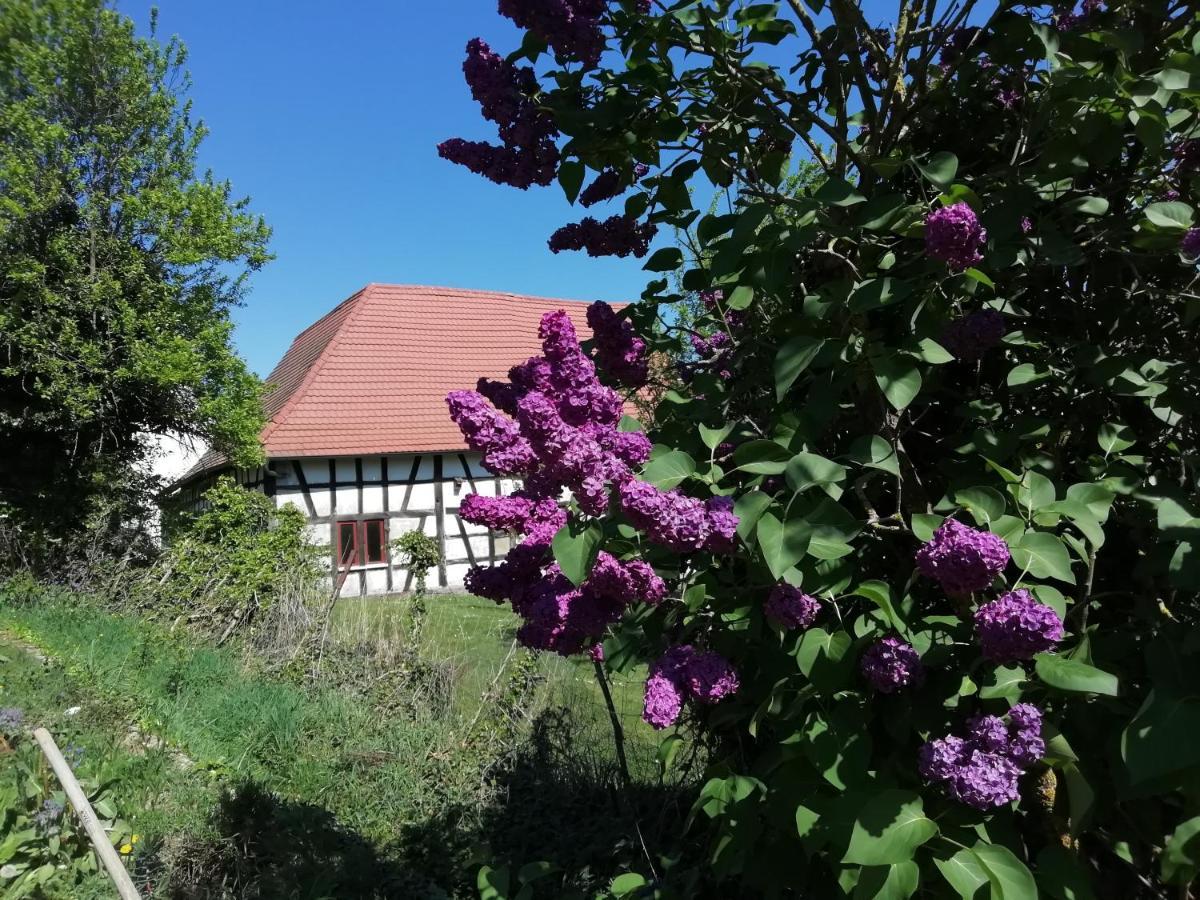 Gite Rue De L'Ange Hunspach Екстериор снимка