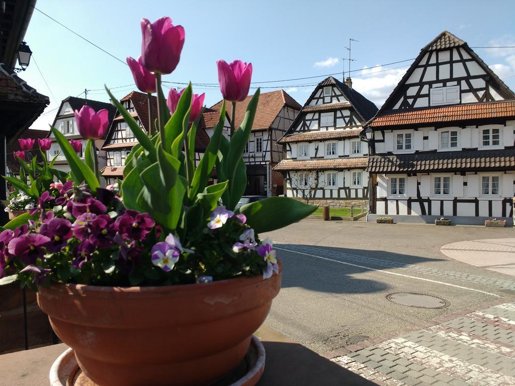 Gite Rue De L'Ange Hunspach Екстериор снимка